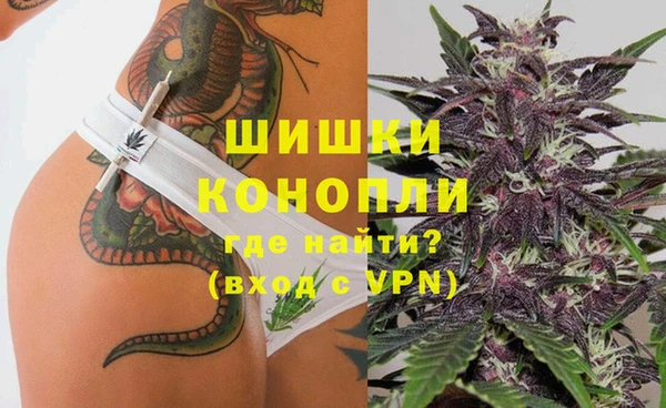 трава Зерноград